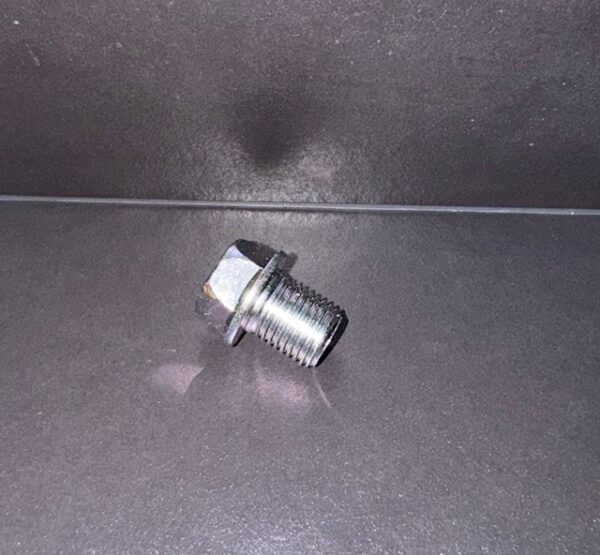 OILJE PLUGG MOTOR